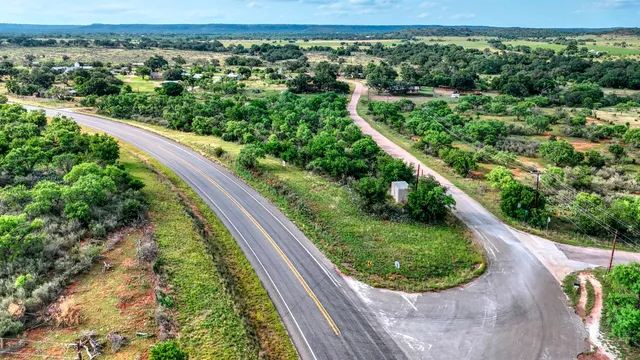 a view of a bunch of trees and bushes