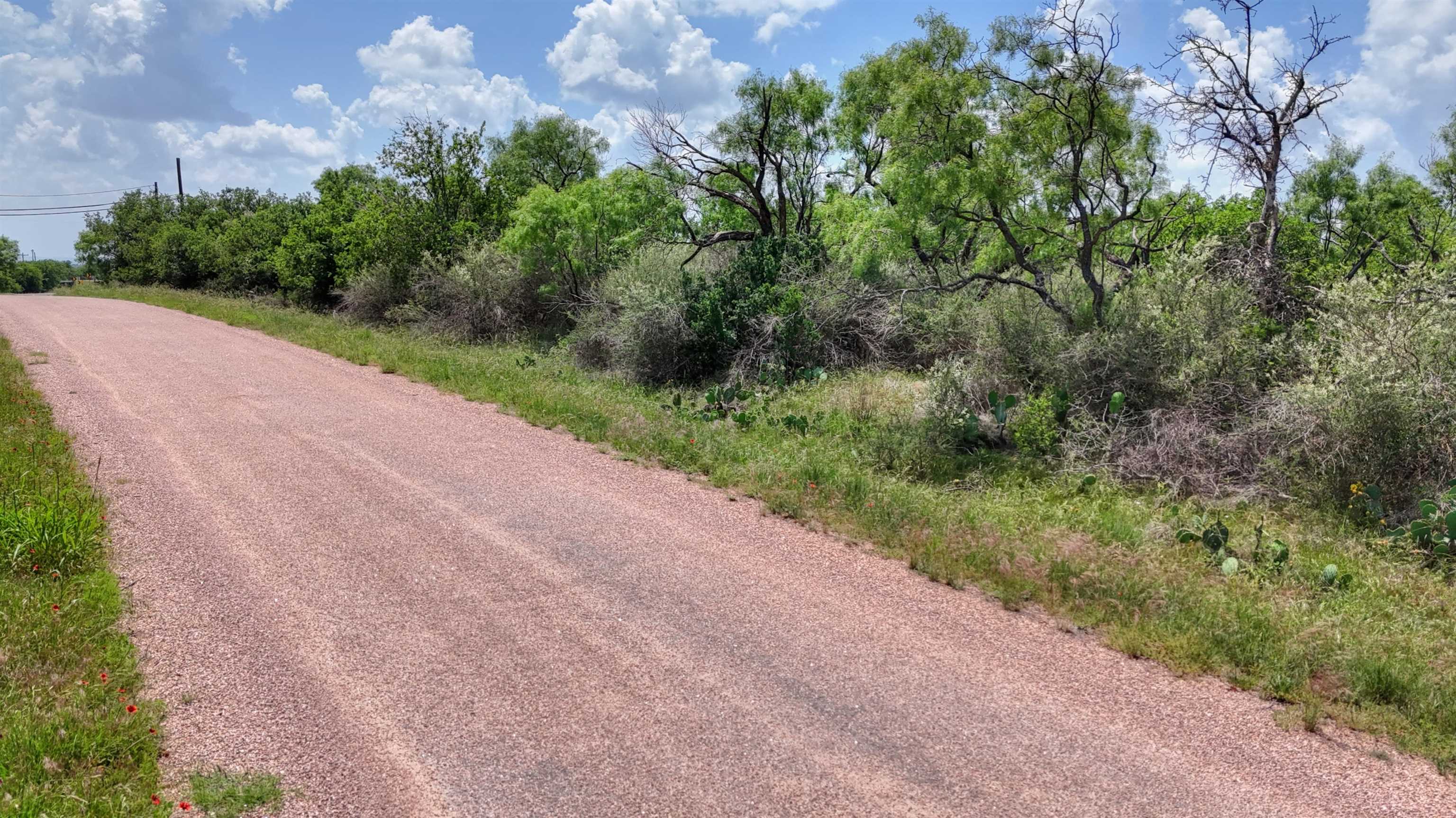 0 East Highway 71 Valley Spring, TX 76885 - Photo 22 of 25 a view of a road from a yard