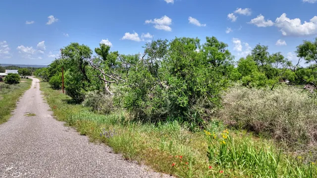 a view of a garden with a lake