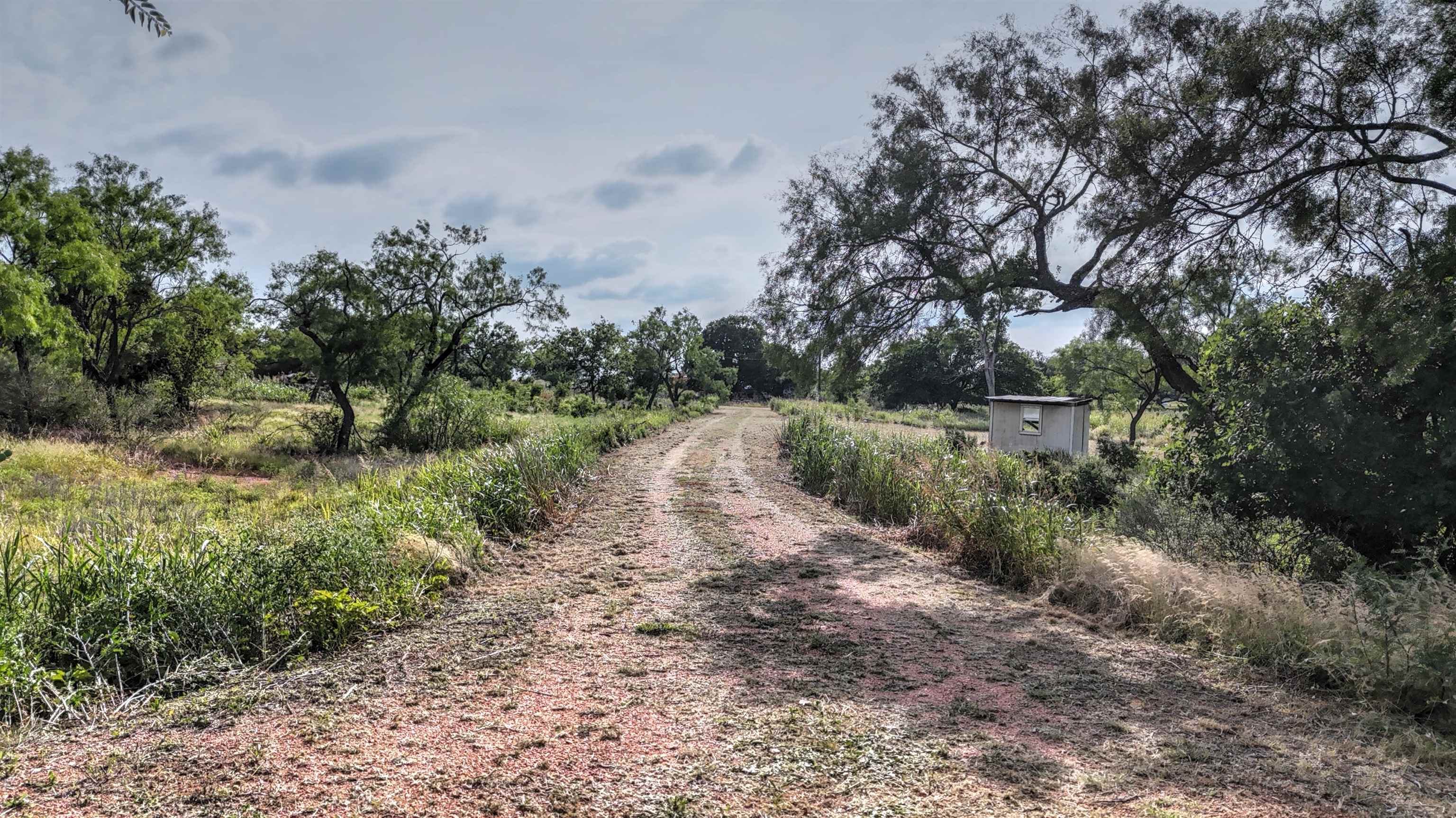 0 East Highway 71 Valley Spring, TX 76885 - Photo 7 of 25 a big yard with lots of green space