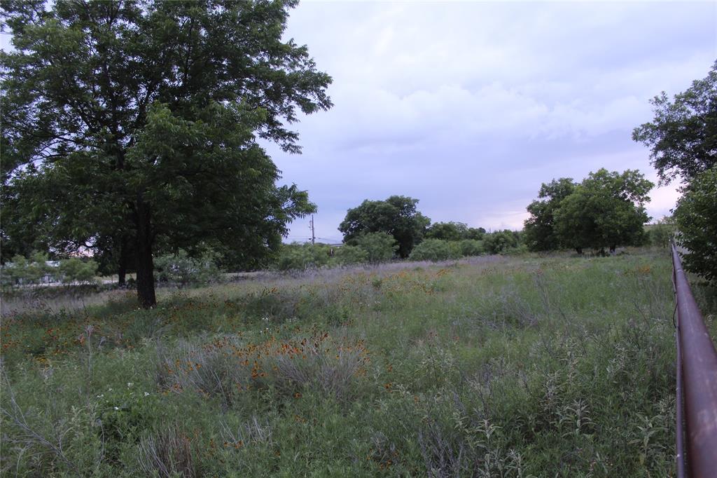 510 Hamby Road Clyde, TX 79510 - Photo 19 of 23 View of pasture with mature trees and native wildflowers
