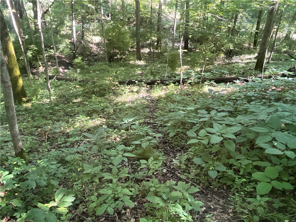0 Stephen Young Road Camden, OH 45311 - Photo 30 of 57