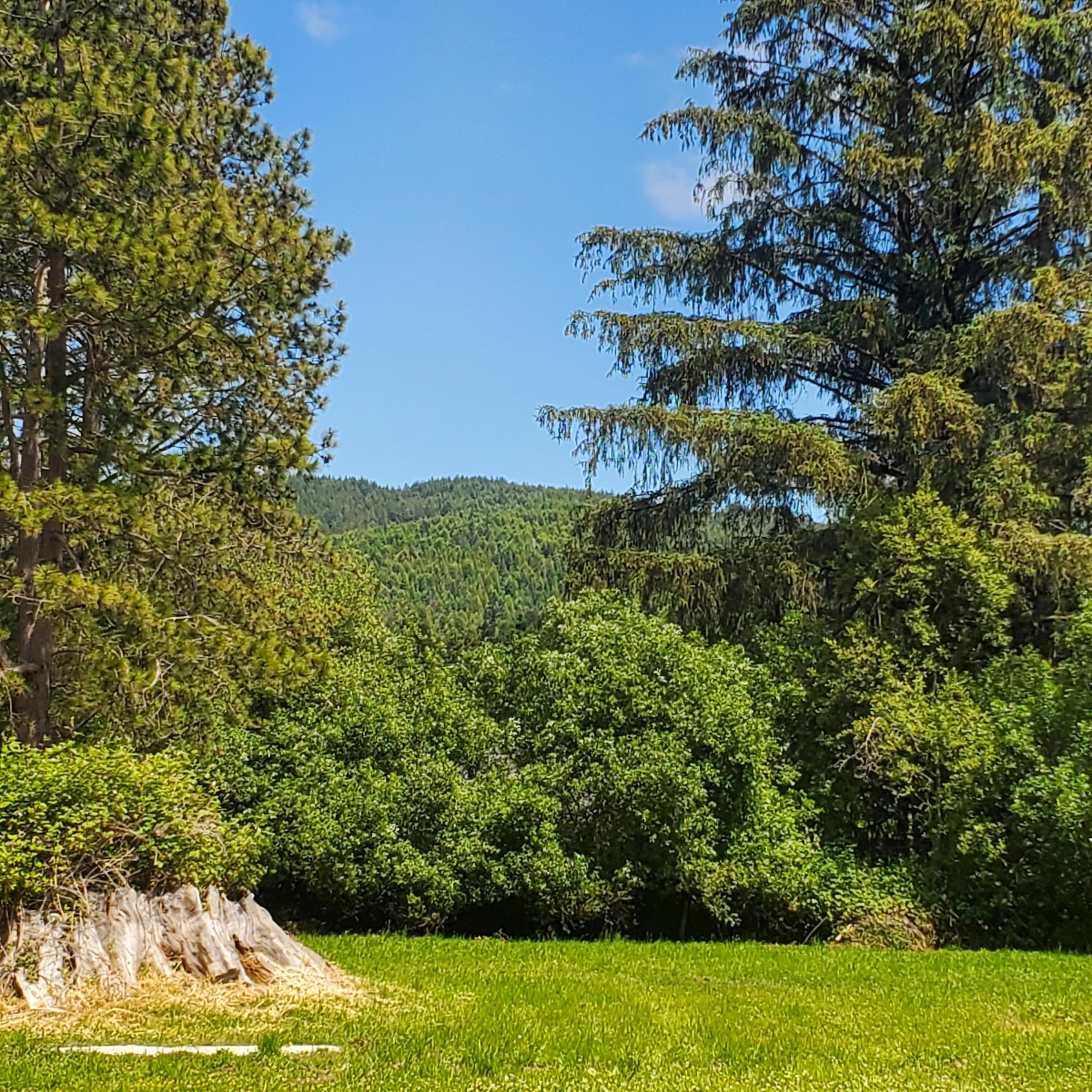 209 Kingston Road Fieldbrook, CA 95519 - Photo 2 of 18 Mountain view to the East