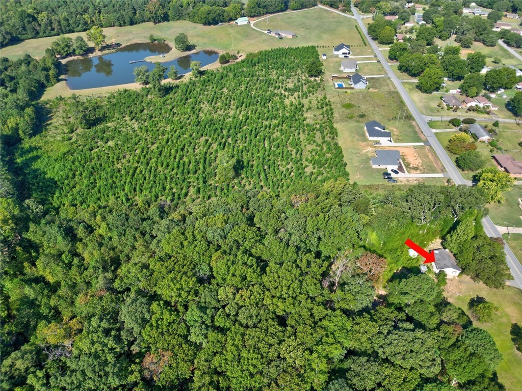 208 Calhoun Road Belton, SC 29627 - Photo 6 of 12