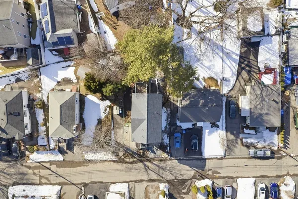 a view of road with large trees