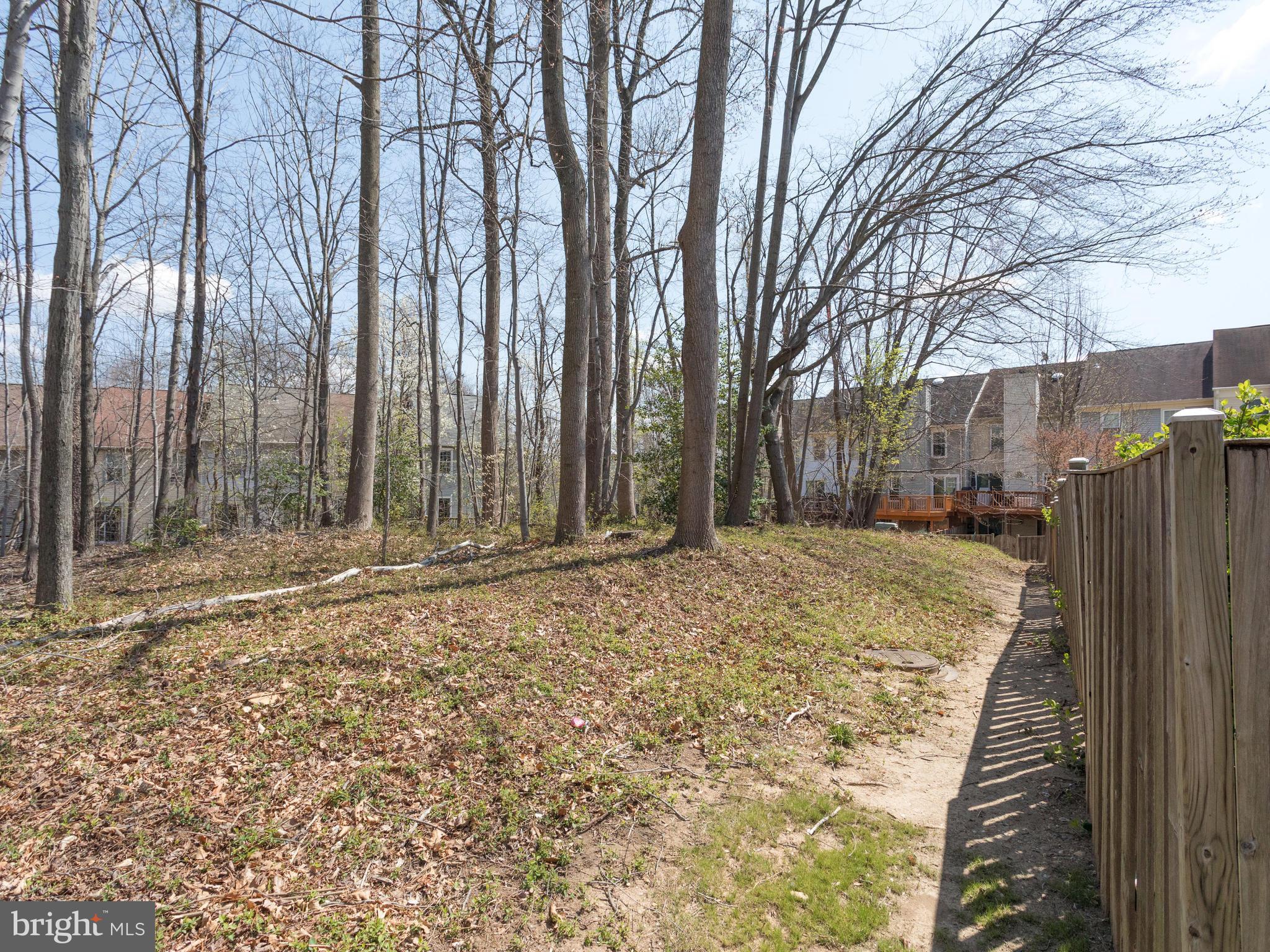 8499 Springfield Oaks Drive Springfield, VA 22153 - Photo 30 of 30 View