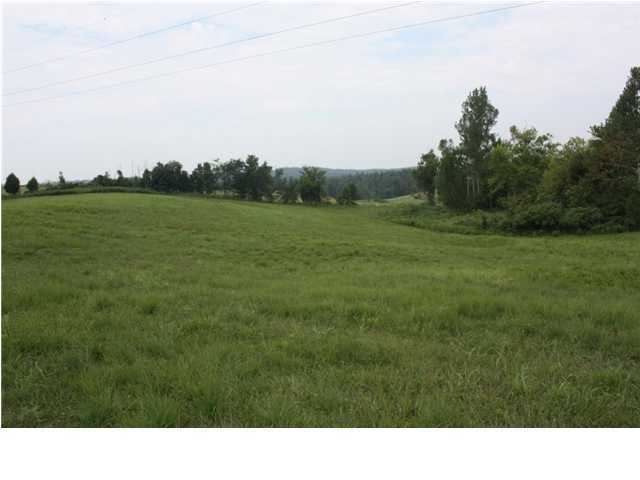 4900 Bloomington Road Leitchfield, KY 42754 - Photo 5 of 6 Additional Photo