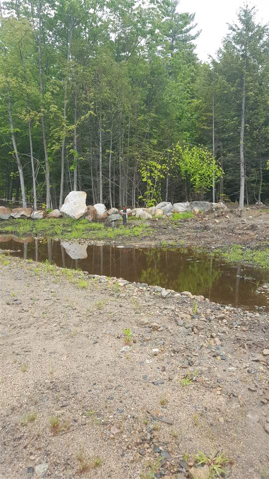 16 Moody Pond Road Ossipee, NH 03814 - Photo 3 of 9