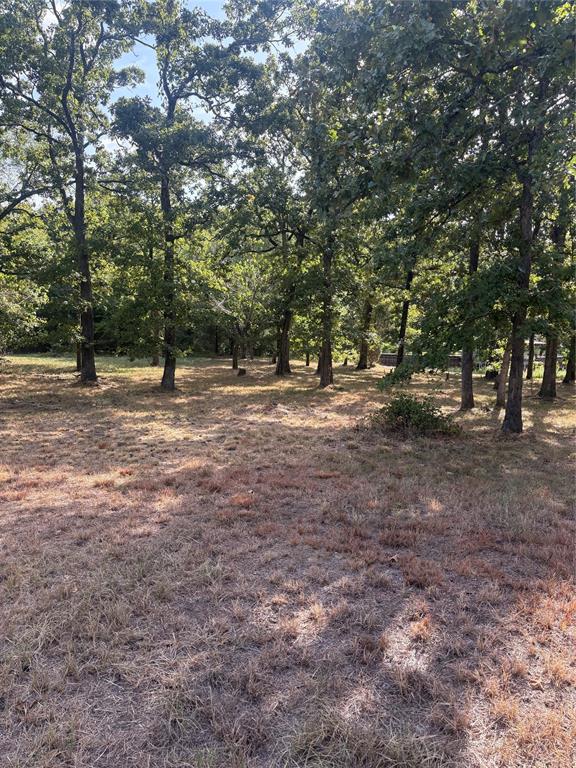 124 Point La Vista Road Malakoff, TX 75148 - Photo 4 of 5 Gallery Image 4