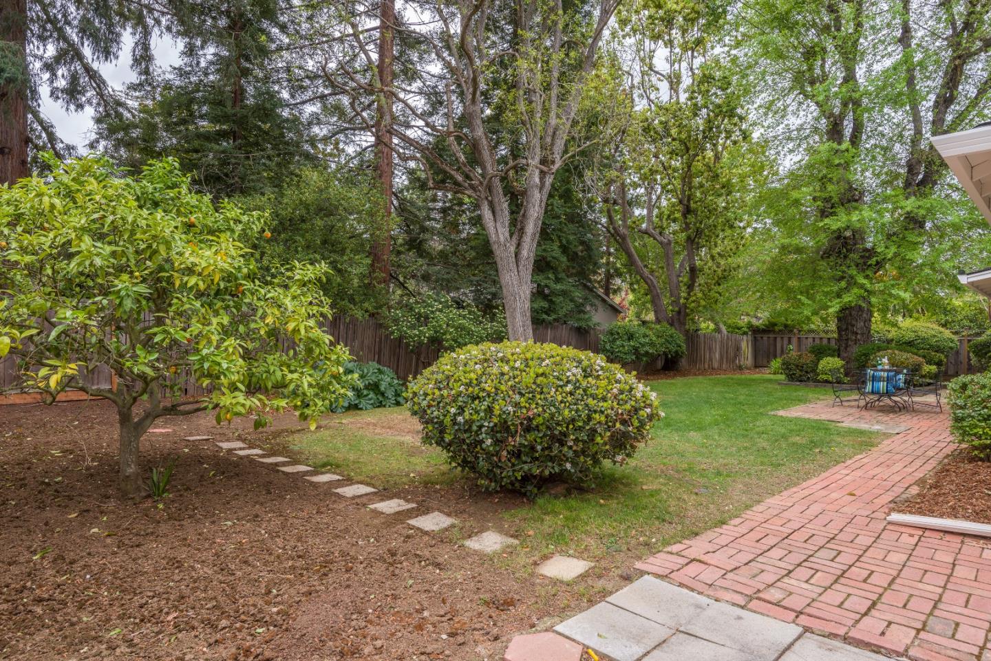 736 Filip Road Los Altos, CA 94024 - Photo 21 of 27 a view of a garden with a tree