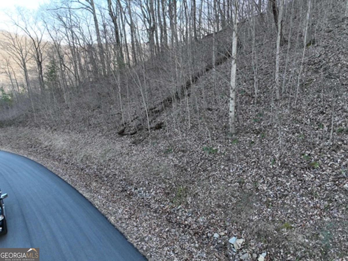 249 Andes Ridge Talking Rock, GA 30175 - Photo 14 of 20