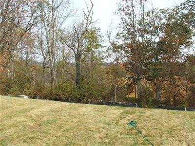 157 Whitman Way Georgetown, KY 40324 - Photo 8 of 29 Photo 9