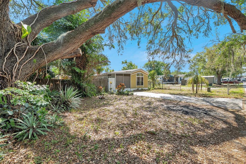8844 Mike Street Port Richey, FL 34668 - Photo 2 of 51 a view of house with backyard and tree