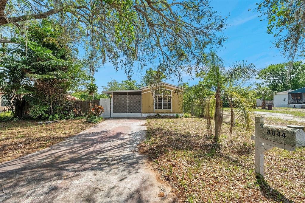 8844 Mike Street Port Richey, FL 34668 - Photo 4 of 51 a backyard of a house with lots of green space