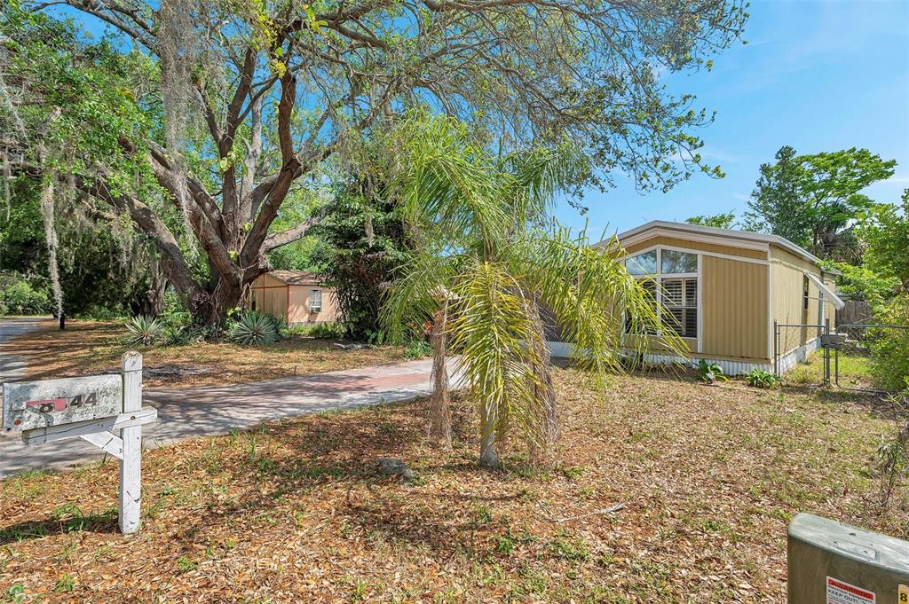 8844 Mike Street Port Richey, FL 34668 - Photo 6 of 51 a backyard of a house with large trees and table