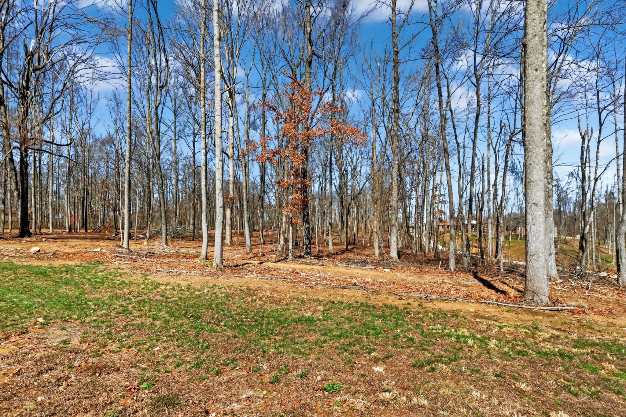 562 Northup Road Portland, TN 37148 - Photo 31 of 33