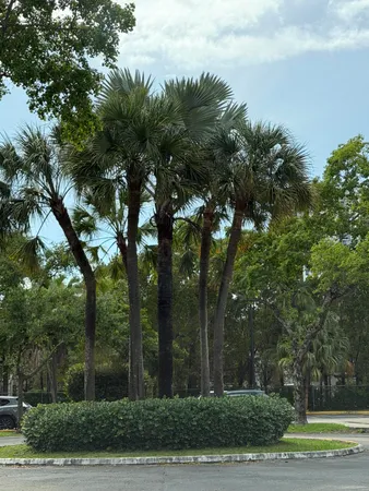 $1,925 | 8160 Geneva Court, Unit 314, Doral, FL 33166