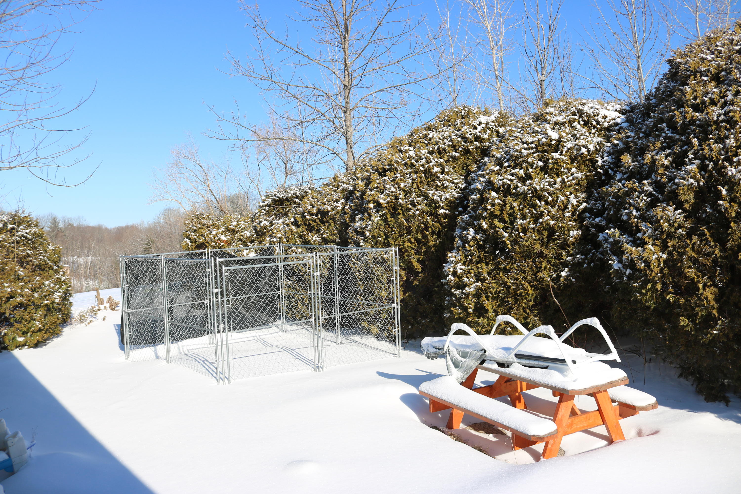 29 F F Sanborn Road Sabattus, ME 04280 - Photo 4 of 16 BackYard1