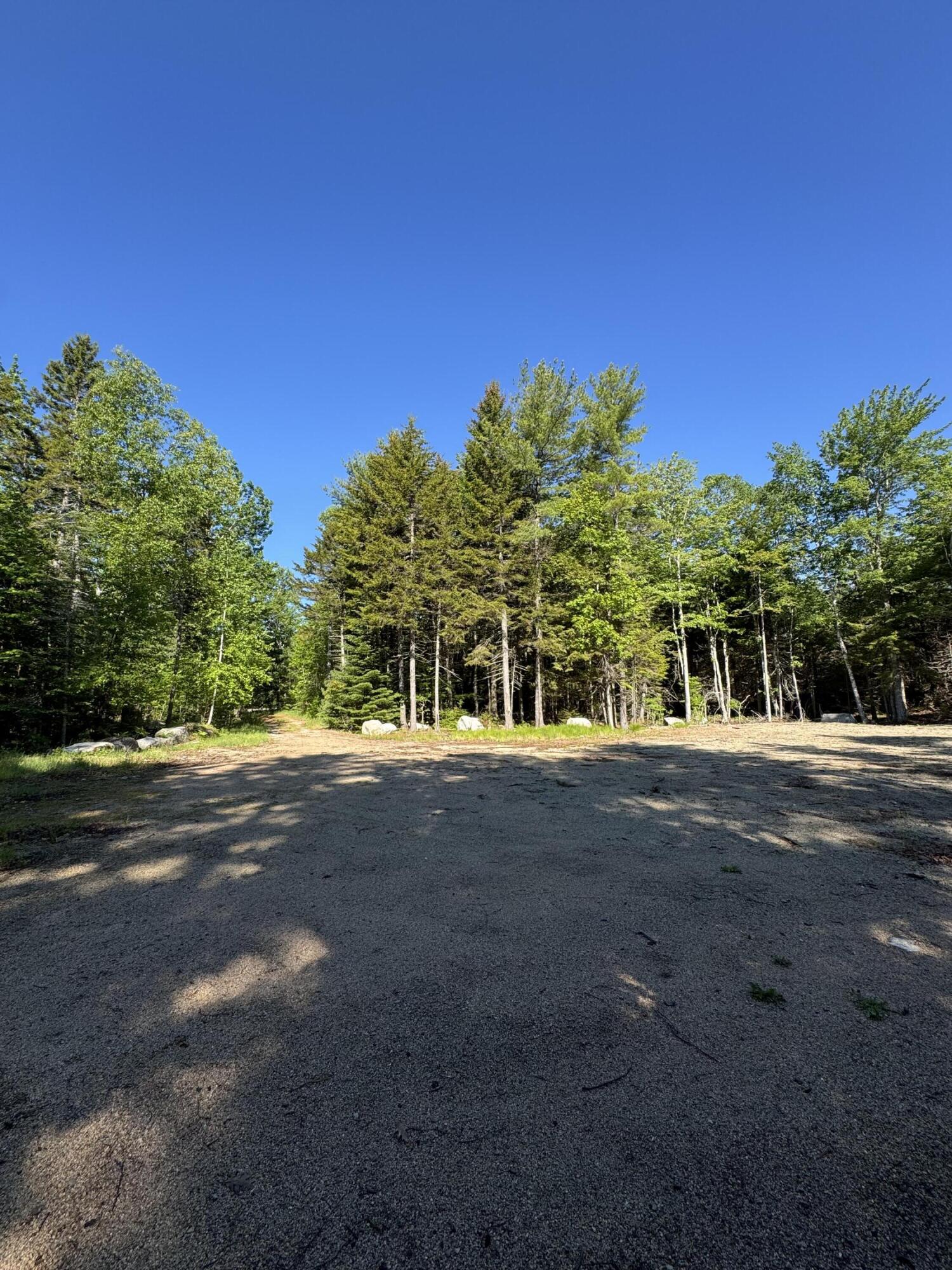 539 Sedgwick Ridge Road Sedgwick, ME 04676 - Photo 3 of 13