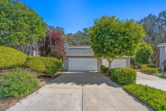 a view of a garden with plants and trees
