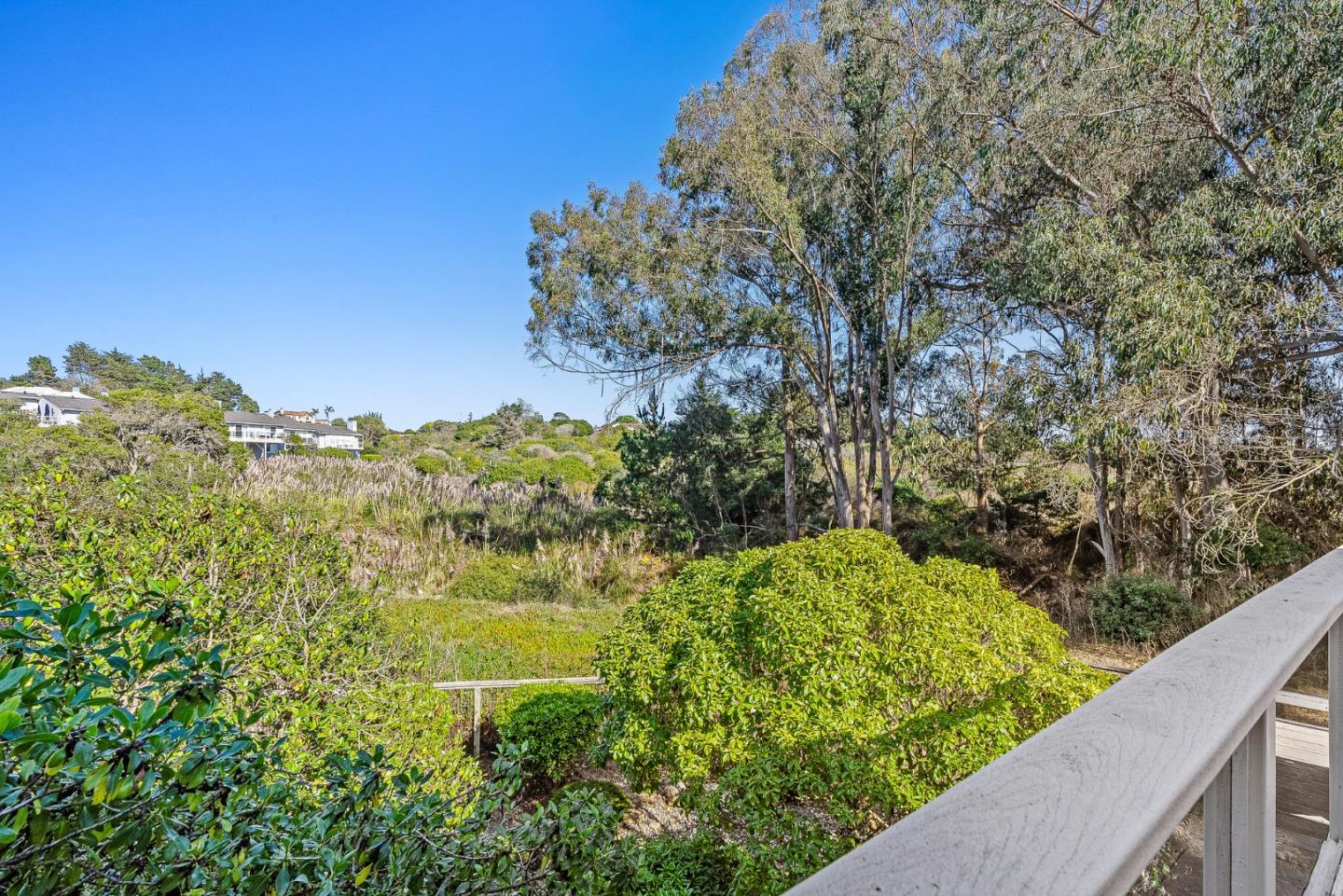 431 Canon Del Sol Watsonville, CA 95076 - Photo 23 of 50 a view of a garden with plants