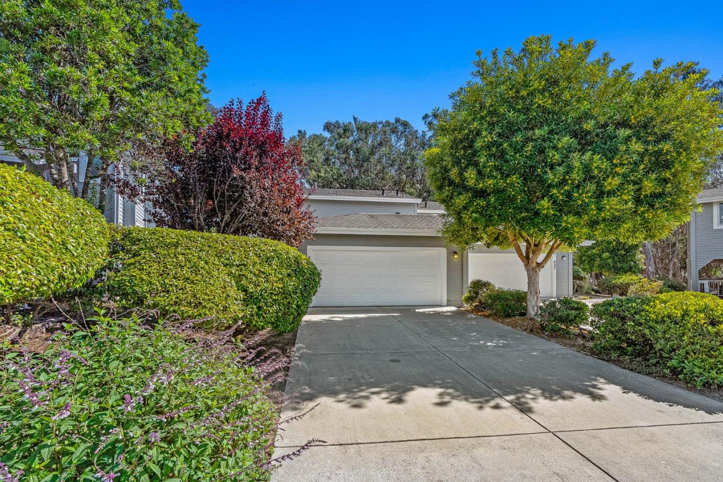 431 Canon Del Sol Watsonville, CA 95076 - Photo 3 of 50 a view of a garden with large trees