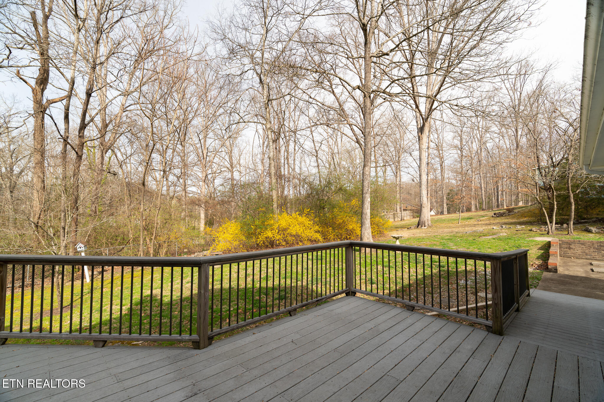 1505 Timber Trail Newport, TN 37821 - Photo 37 of 46 untitled-37