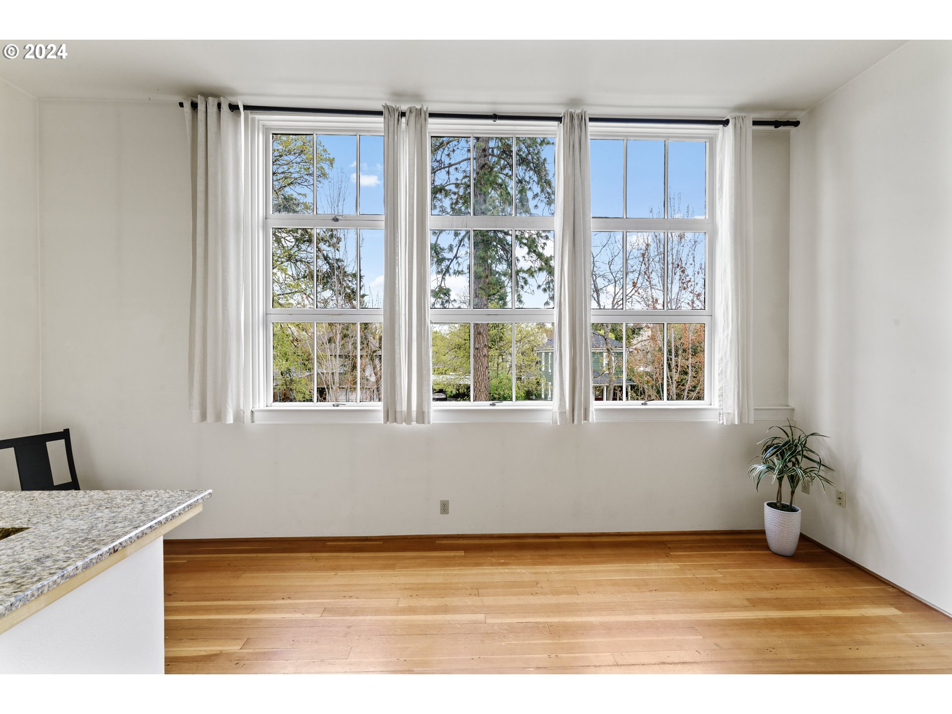 650 West 12th Avenue, Unit 202 Eugene, OR 97402 - Photo 5 of 30 a view of a kitchen with an empty room and a window