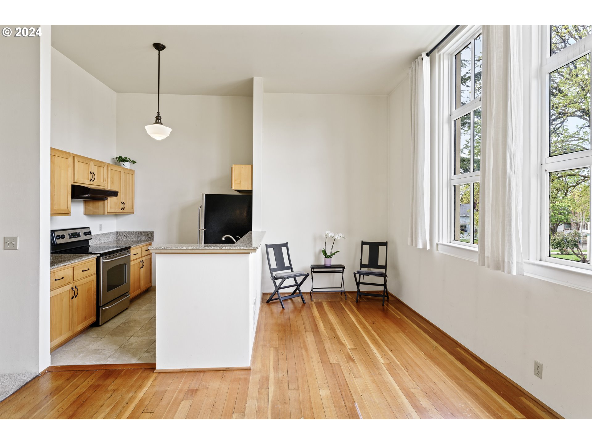 650 West 12th Avenue, Unit 202 Eugene, OR 97402 - Photo 8 of 30 a living room with stainless steel appliances furniture a flat screen tv and a window