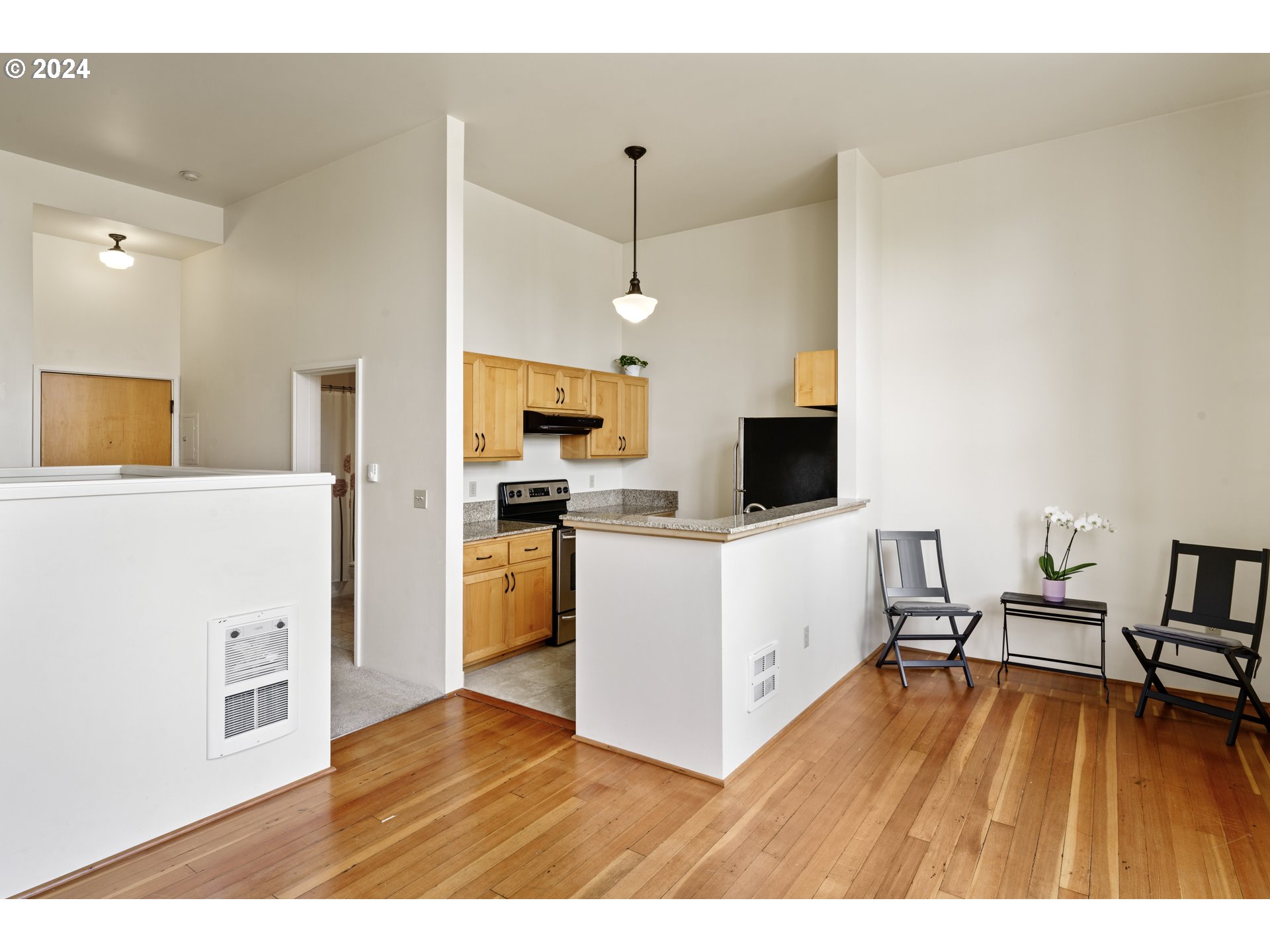650 West 12th Avenue, Unit 202 Eugene, OR 97402 - Photo 9 of 30 a living room with a flat screen tv and kitchen view