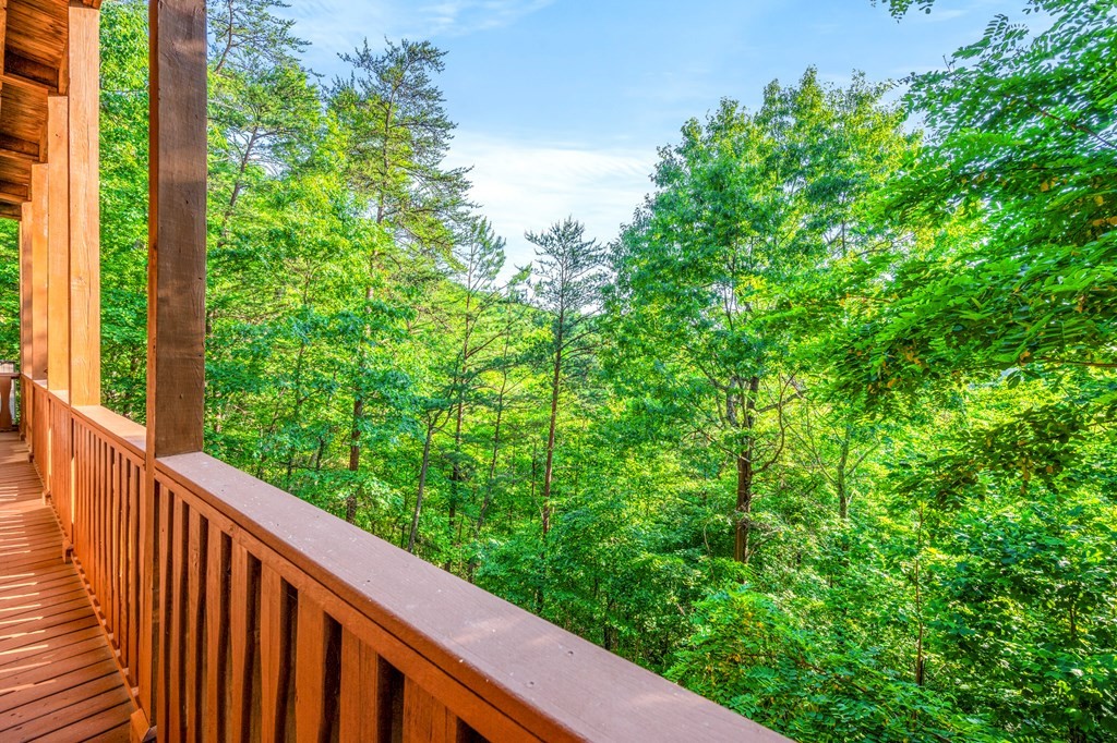 3256 Grouse Ridge Lane Sevierville, TN 37862 - Photo 44 of 63 Gallery Image 44