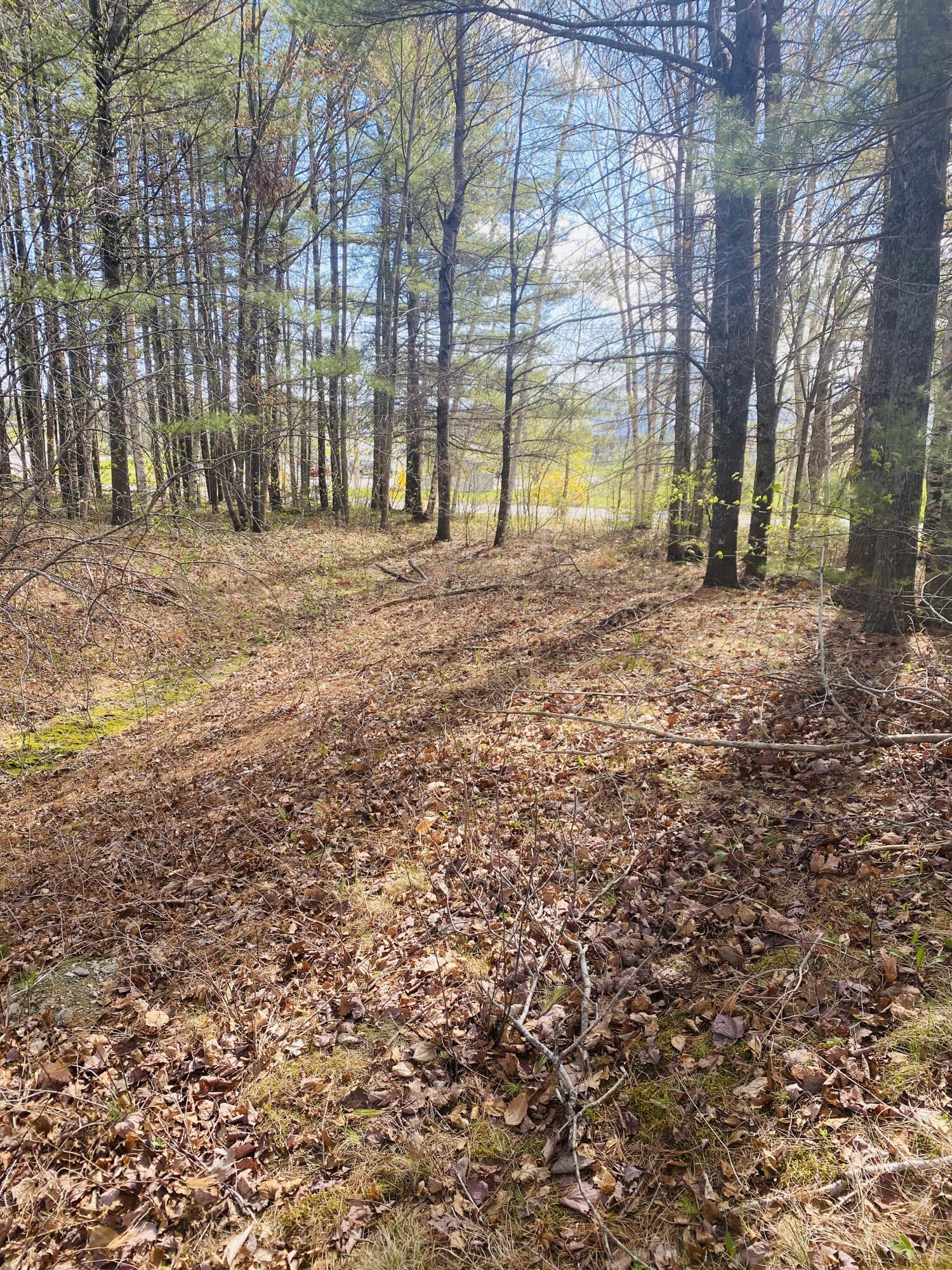 30 Hornbeam Way Bangor, ME 04401 - Photo 6 of 6 IMG_7962