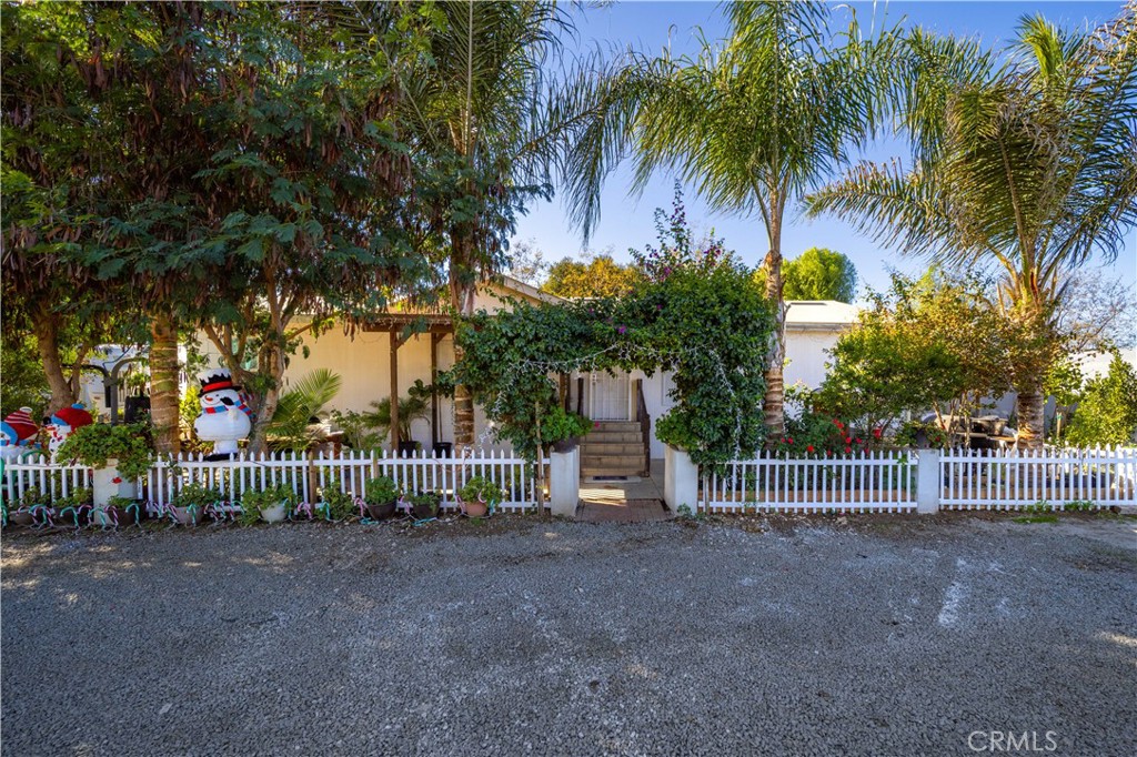 a view of a yard with a trees