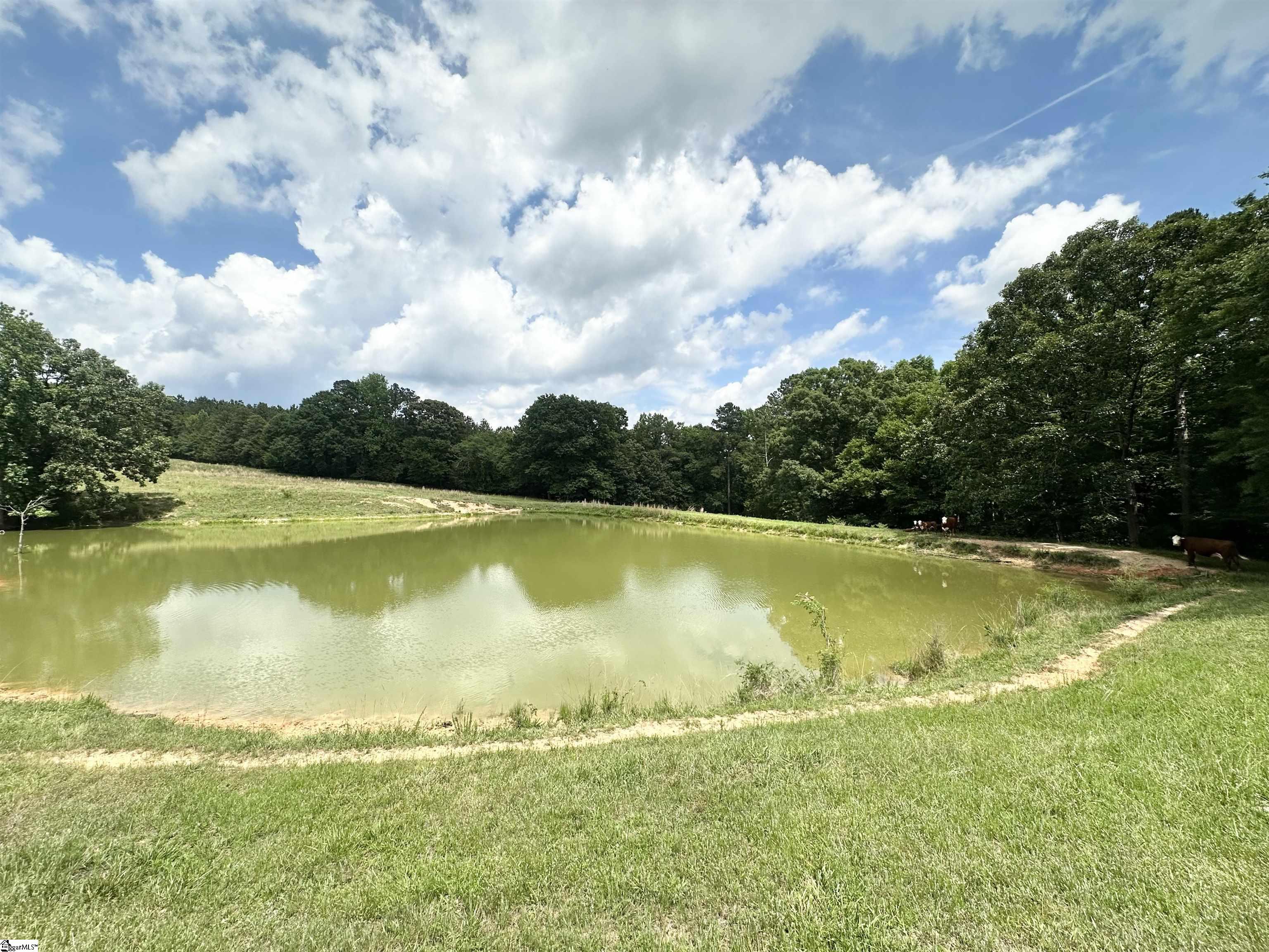 289 Deep Water Road Union, SC 29379 - Photo 48 of 50