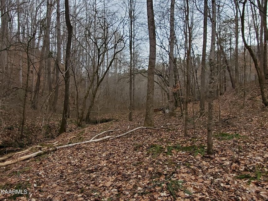 0 Dripping Springs Road Seymour, TN 37865 - Photo 28 of 32 Gallery Image 28