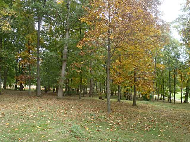 4139 Veatch Road Gambier, OH 43022 - Photo 2 of 19 Gallery Image 2