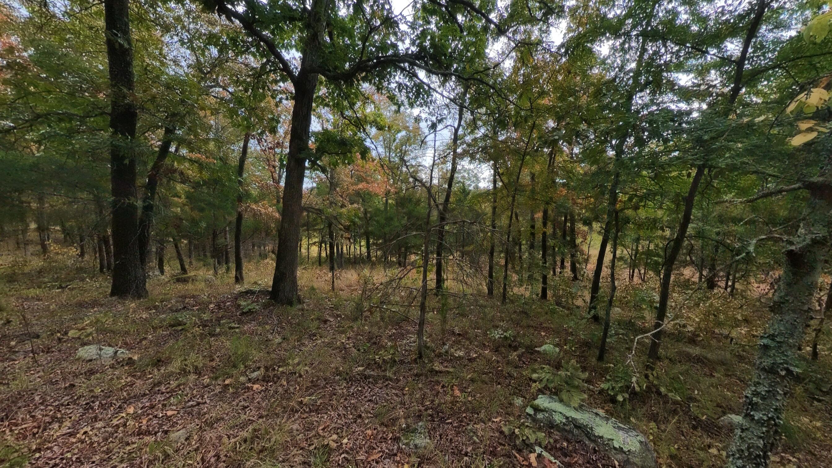 517 Sawmill Road Brockwell, AR 72517 - Photo 29 of 54 40 acres027