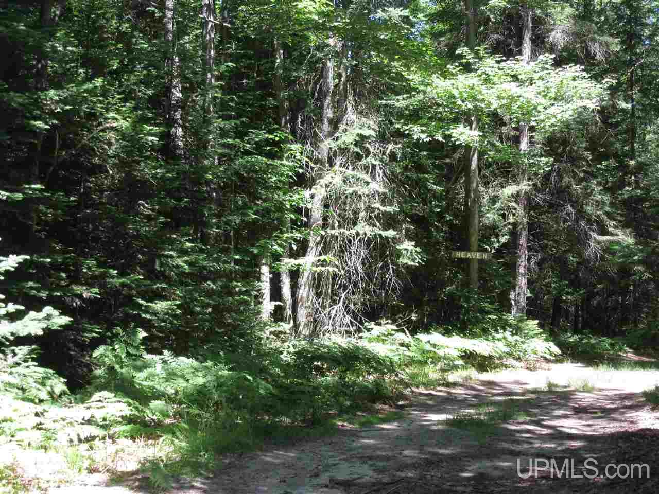 Tbd Usfs Road Munising, MI 49895 - Photo 8 of 14