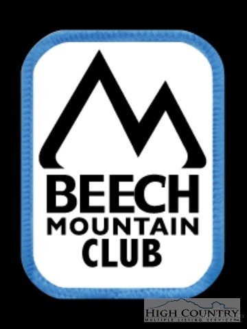 517 Pine Ridge Road Beech Mountain, NC 28604 - Photo 33 of 44