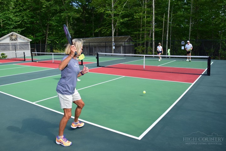 517 Pine Ridge Road Beech Mountain, NC 28604 - Photo 36 of 44