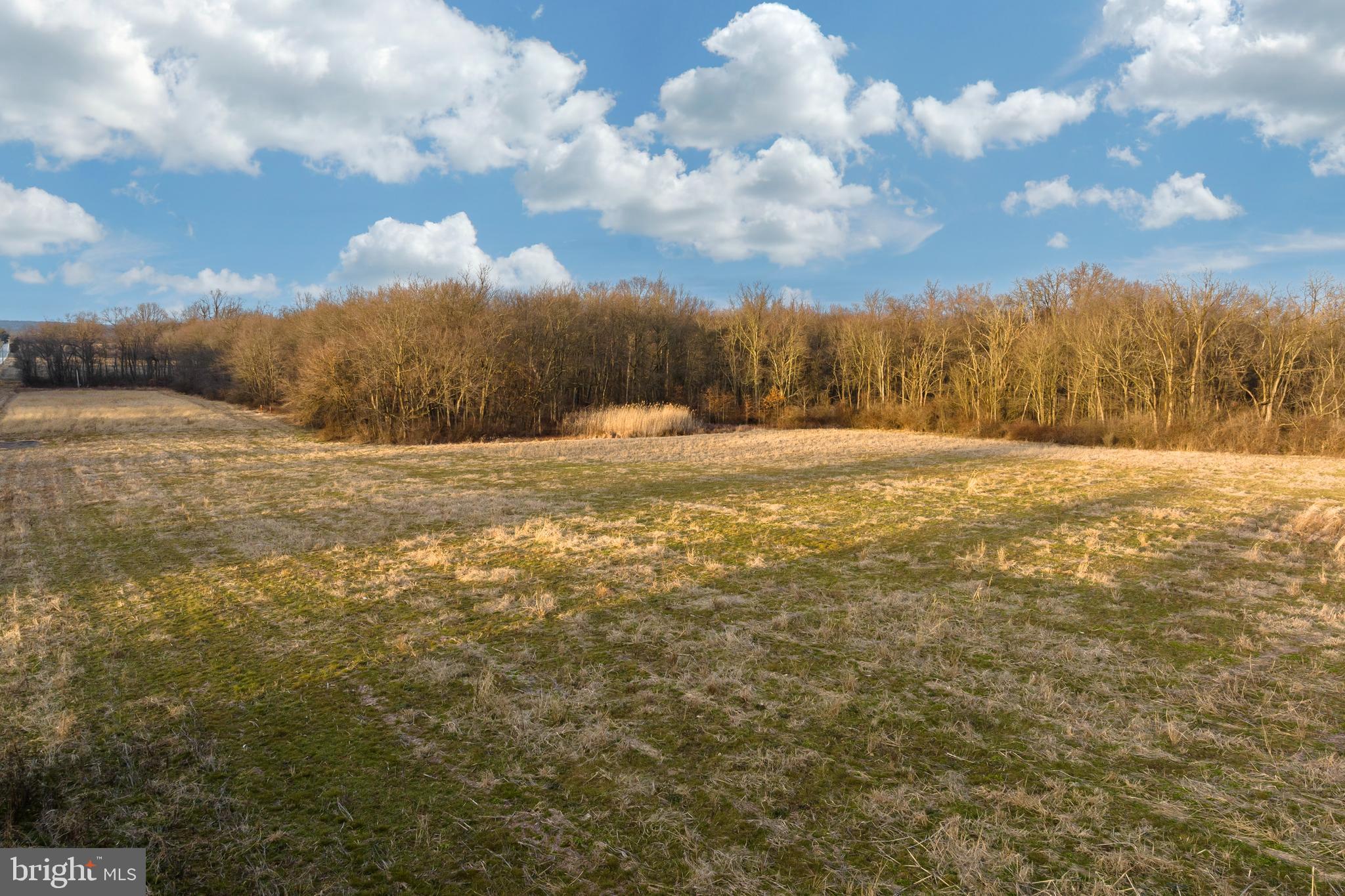 2416 Chestnut Tree Road Honey Brook, PA 19344 - Photo 20 of 25 Lot, looking North