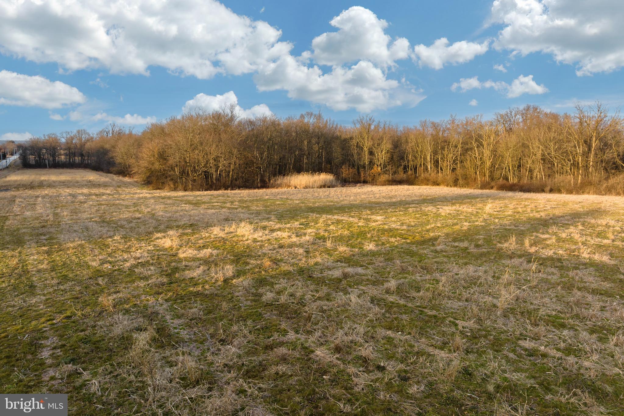 2416 Chestnut Tree Road Honey Brook, PA 19344 - Photo 21 of 25 Lot, looking North