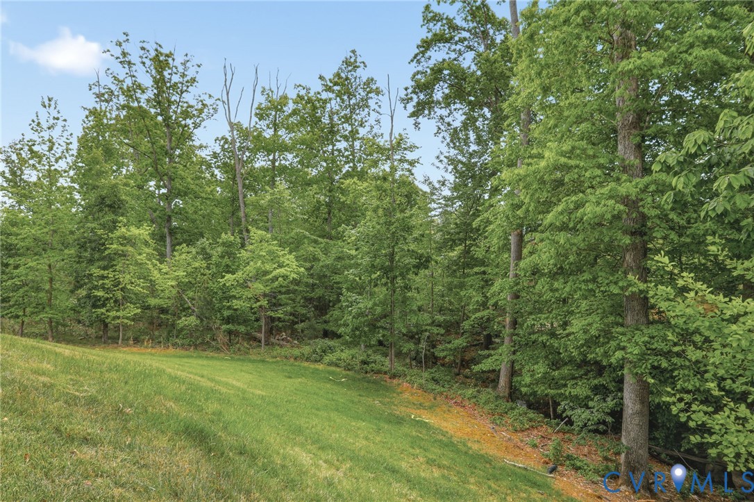 13101 Rodington Court Midlothian, VA 23113 - Photo 36 of 53 Gallery Image 36