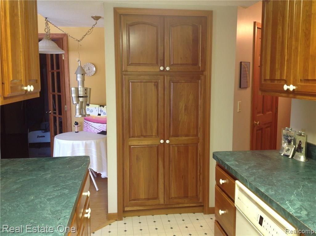15343 Bird Road Linden, MI 48451 - Photo 32 of 47 Pantry on the opposite side of kitchen!