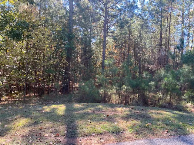$346,396 | 0 Autumnwood Trail, Six Mile, SC 29682