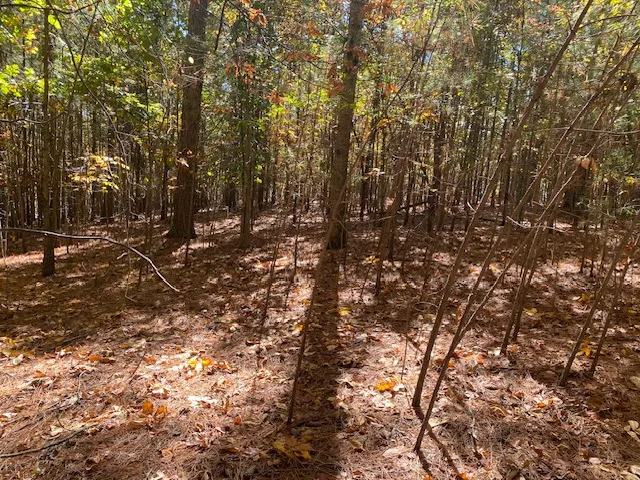 $346,396 | 0 Autumnwood Trail, Six Mile, SC 29682