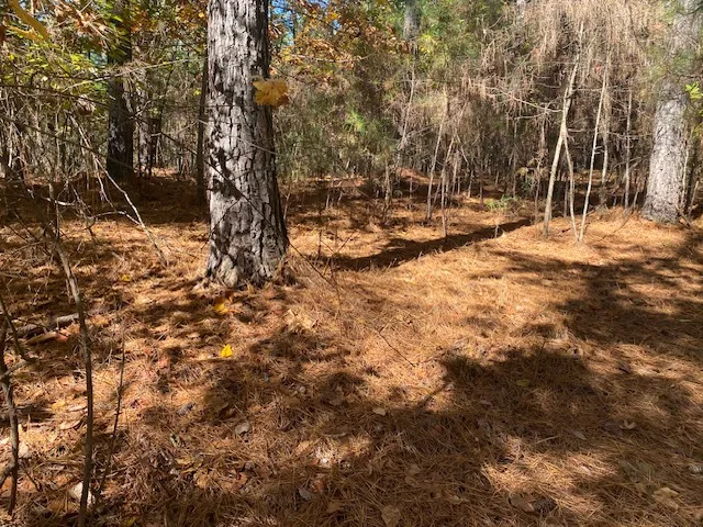 $346,396 | 0 Autumnwood Trail, Six Mile, SC 29682