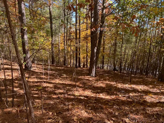 $346,396 | 0 Autumnwood Trail, Six Mile, SC 29682