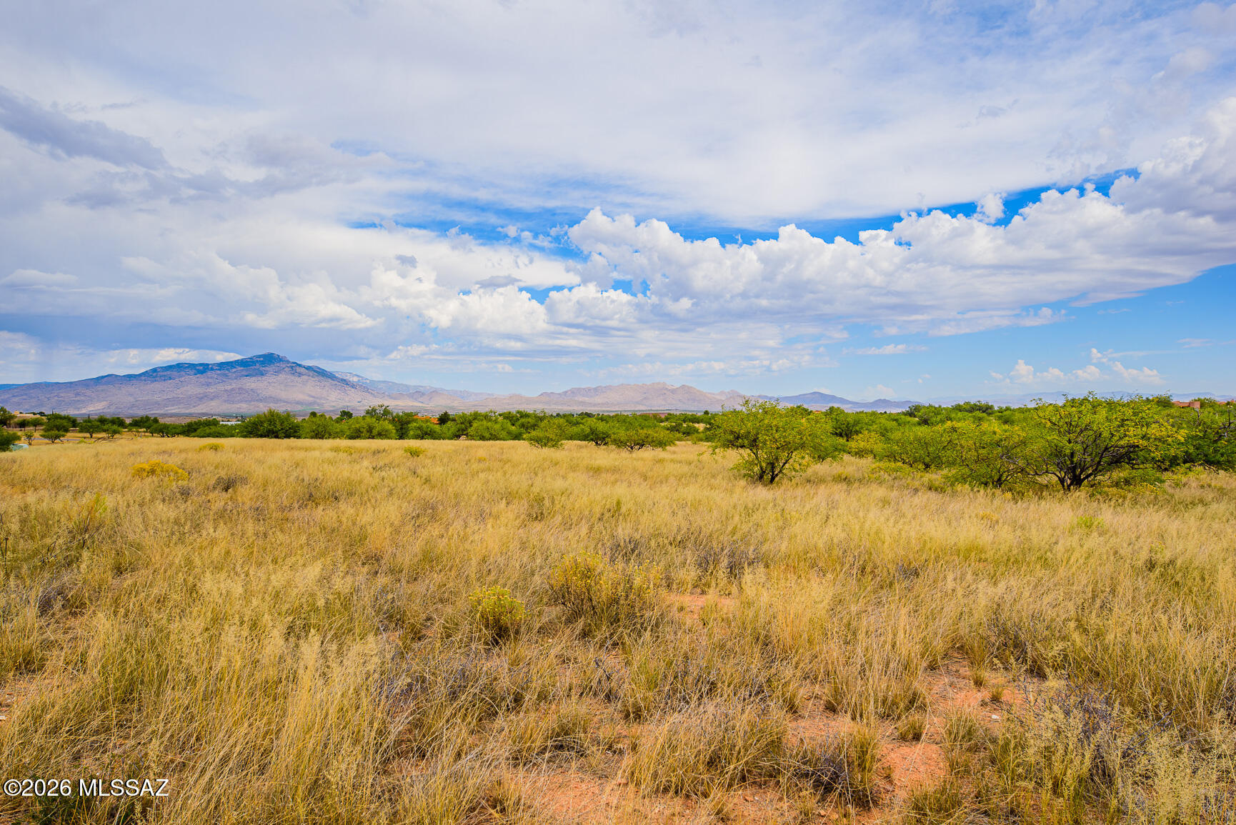 Tbd West Horse Ride Loop, Unit 51 Benson, AZ 85602 - Photo 2 of 12
