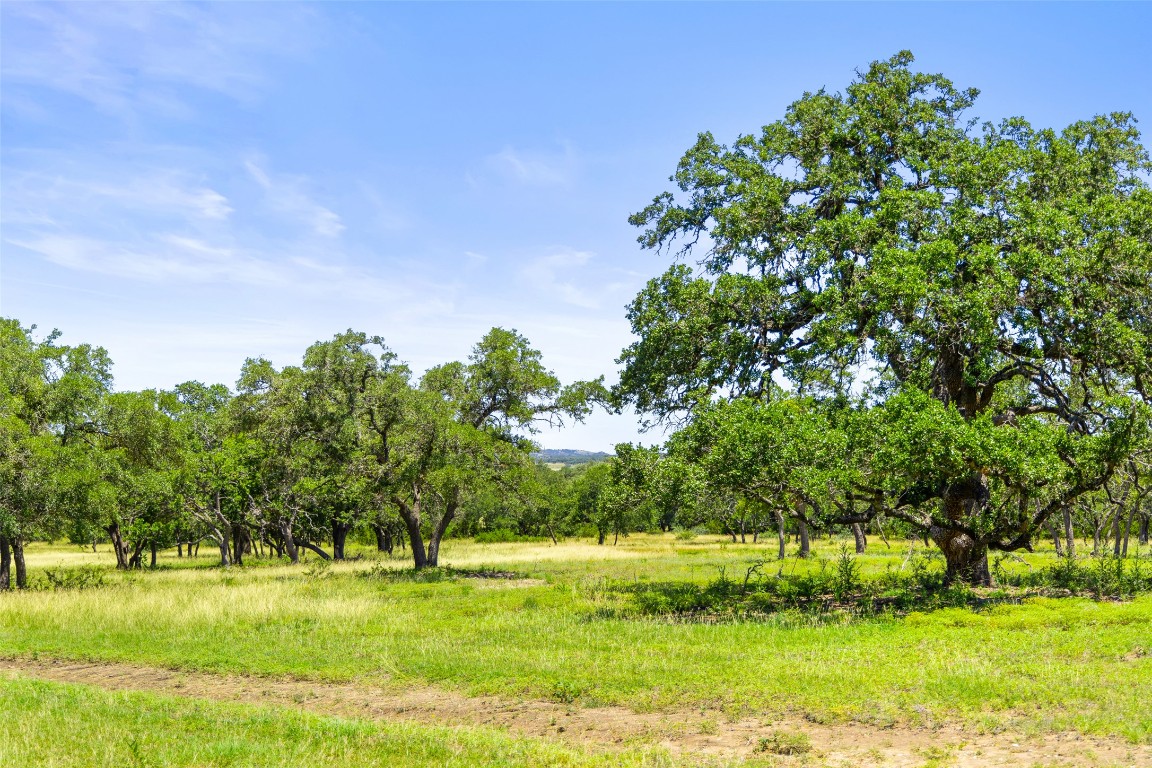 a backyard of a house with a yard and outdoor seating